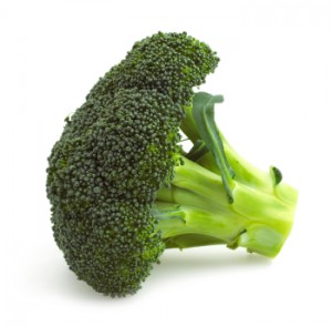 Broccoli floret